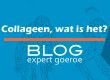 Collageen---wat-is-het