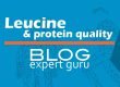 Blog Leucine add to shake improves protein quality