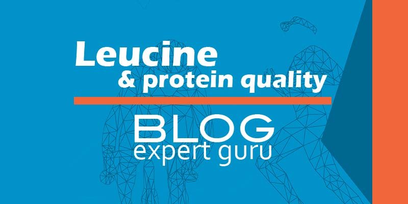 Blog leucine protein quality Blog Leucine add to shake improves protein quality