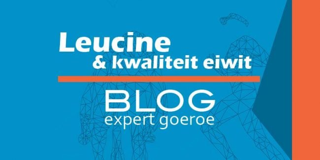 Hoe kwaliteit van je herstelshake verbeteren met leucine