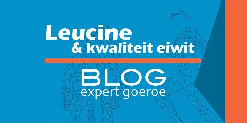 Hoe kwaliteit van je herstelshake verbeteren met leucine Hoe kwaliteit van je herstelshake verbeteren met leucine